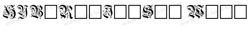 HYBiRanJinShi W字体转换